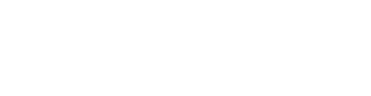 Texas Tech Logo
